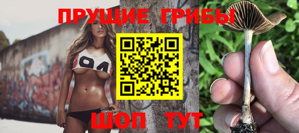 Электрогорск  Галлюциногенные грибы ЛСД  Вход с VPN 