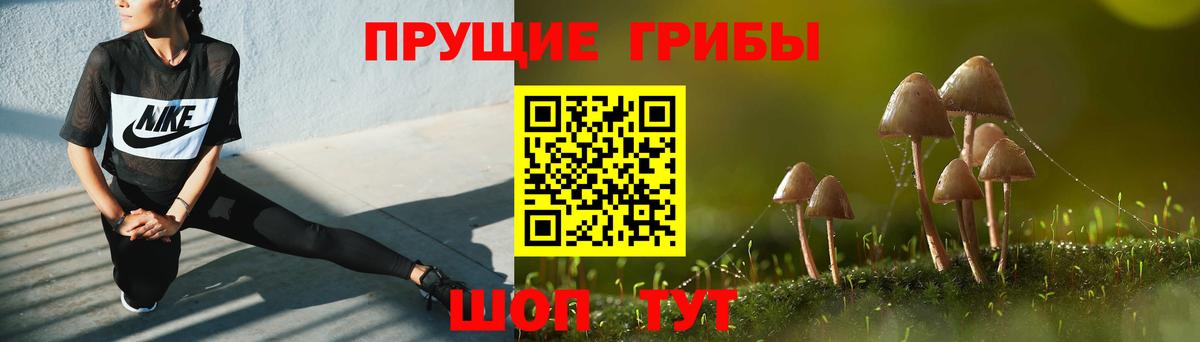 Псилоцибиновые грибы мухоморы Электрогорск